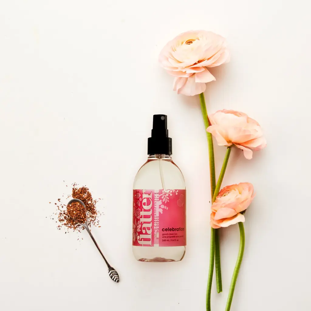 Vaposisateur falicite le repassage SOAK 248ml - Celebration