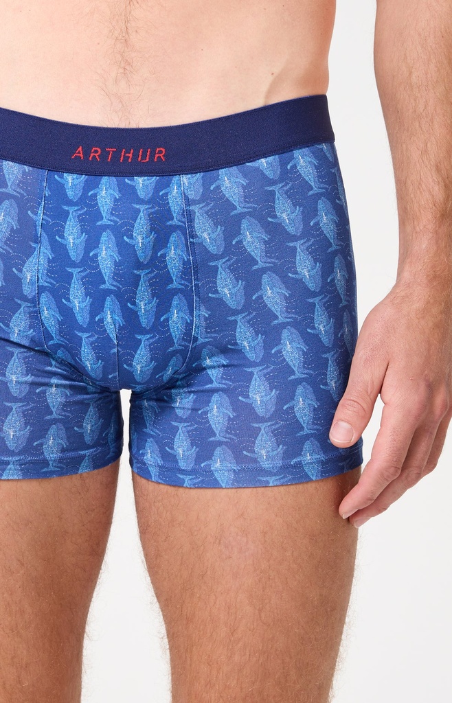 Boxer homme coton bio ARTHUR "Pacifique" MAC - Marine WALEE26