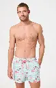 Short de bain ARTHUR BBI VANNE26 "Van Life" - Mint