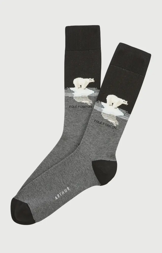Chaussette homme fantaisie ARTHUR "Pôle Position" 1SO - Gris POLEH26