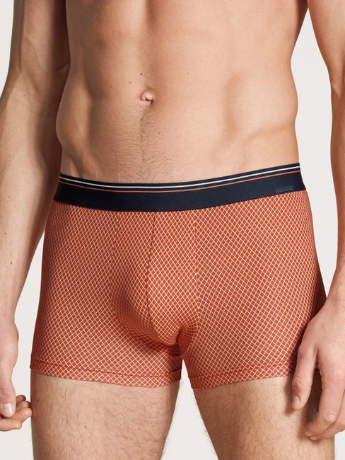 Boxer homme coton stretch & ceinture élastique CALIDA "Cotton Stretch" 25387 - Harvest 066