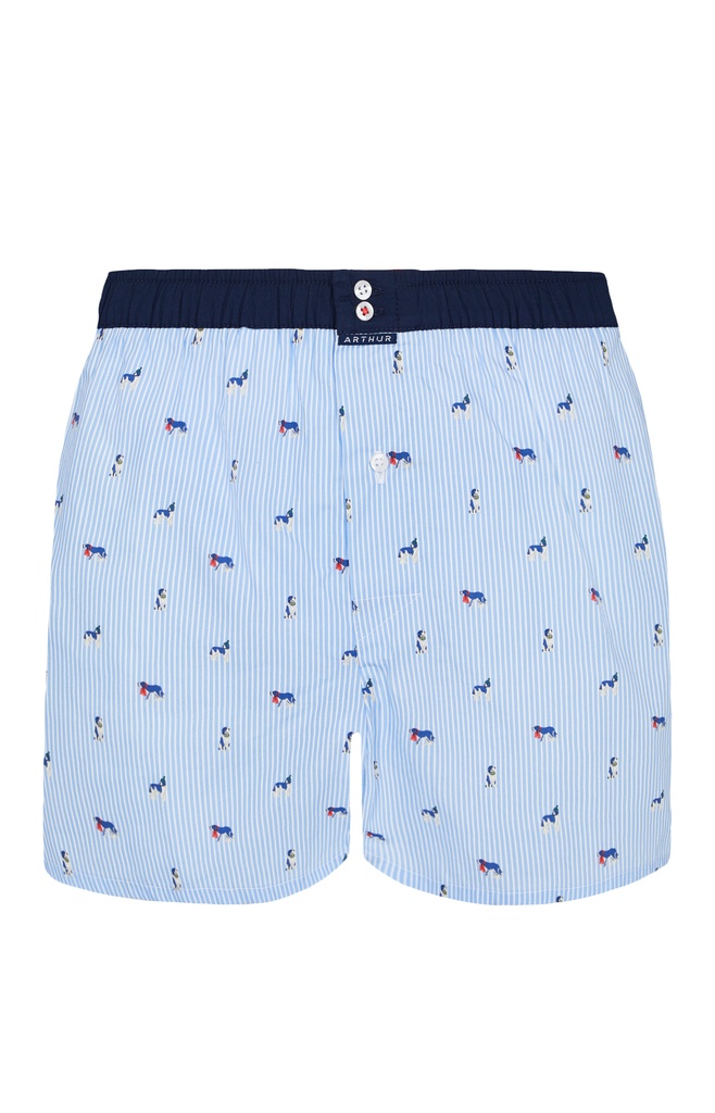 Caleçon américain homme avec maintien intérieur 100% coton bio ARTHUR "Le Club" CSP - Ciel CL1011
