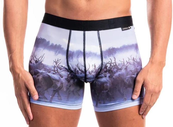 Boxer homme fantaisie en polyester avec maintien intérieur LOIC HENRY "Indentity" KBI058X - Toundra Multicolore