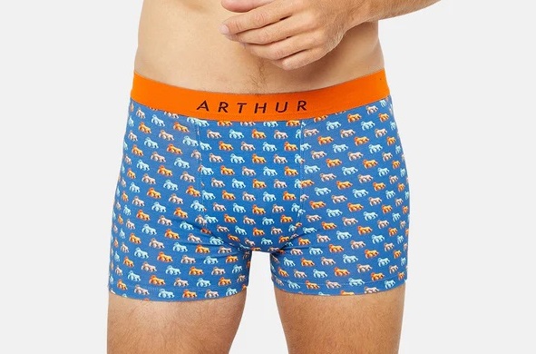 Boxer homme fantaisie 95% coton bio ARTHUR "Gorille" MAC - Bleu Motif Gorille GORIE23