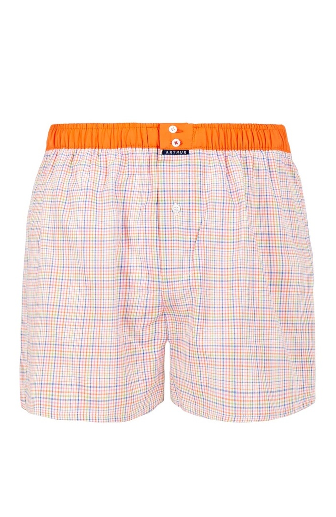 Caleçon américain homme avec maintien 100% coton bio ARTHUR "Le Club" CSP - Multicolore Motif Vichy CL1019
