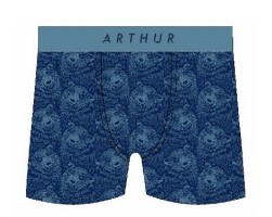 Boxer homme fantaisie 95% coton bio ARTHUR MAC - Marine OURSH23