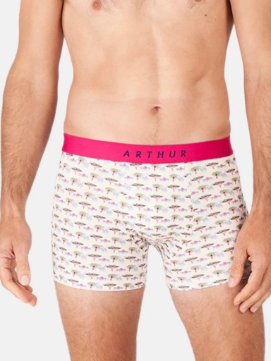 Boxer homme coton bio ARTHUR "Comment Savane" MAC - Multi SAVAE24