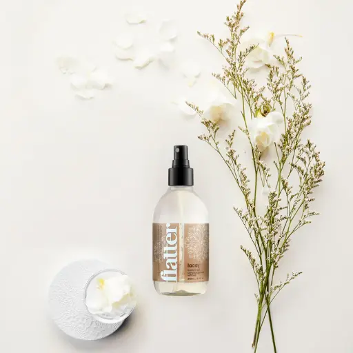 Vaposisateur falicite le repassage SOAK 248ml - Lacey