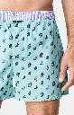 Caleçon américain homme avec maintien 100% coton bio ARTHUR "Le Club" CSP - Jade 1115H24