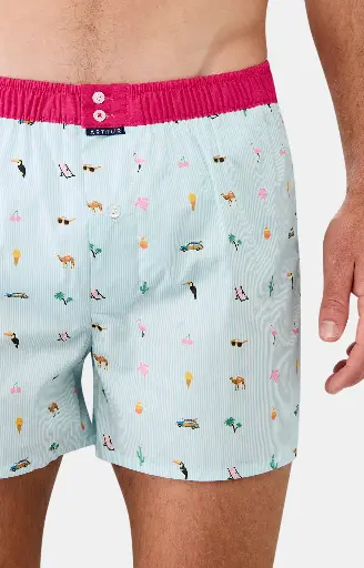 Caleçon américain homme avec maintien 100% coton bio ARTHUR "Le Club" CSP - Multicolore 1163E25 