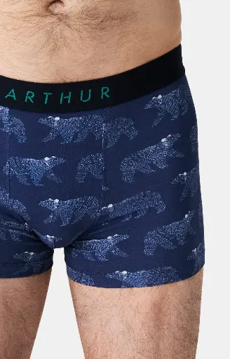 Boxer homme coton bio ARTHUR "Nuit Polaire" MAC - Marine POLAH25
