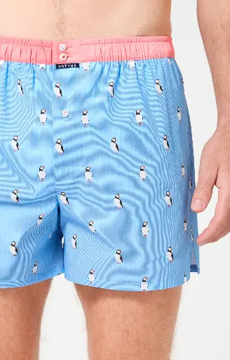 Caleçon américain homme avec maintien 100% coton bio ARTHUR "Le Club" CSP - Ciel 1205E26