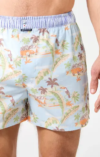 Caleçon américain homme avec maintien 100% coton bio ARTHUR "Le Club" CSP -  Multicolore 1226E26