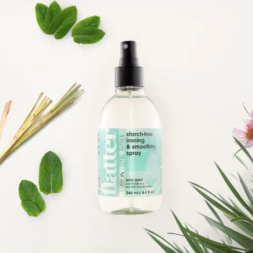 Vaposisateur falicite le repassage SOAK 248ml - Menthe Sauvage