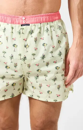 Caleçon américain homme avec maintien 100% coton ARTHUR "Le Club" CSP -  Multicolore 1225E26