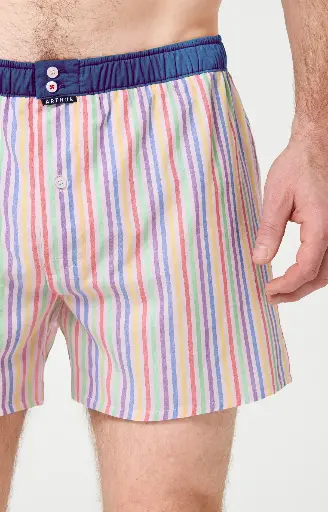 Caleçon américain homme avec maintien 100% coton ARTHUR "Le Club" CSP -  Multicolore 1215E26 