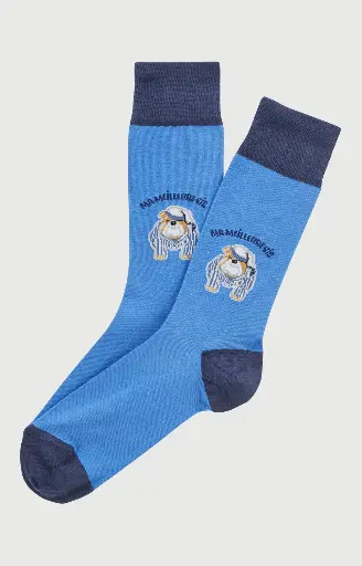 Chaussette homme fantaisie ARTHUR "Ma meilleure vie" 1SO - Bleu BDOGH26